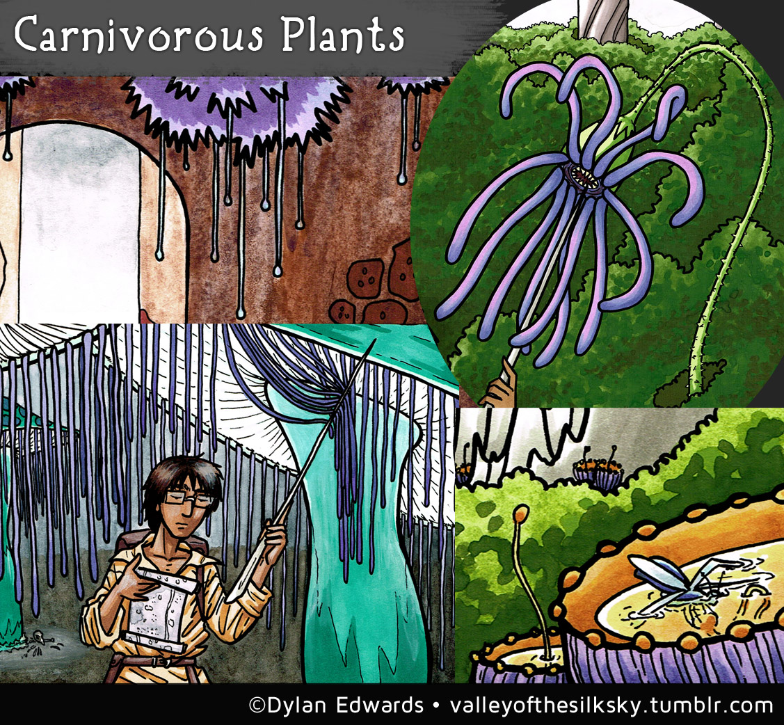 Valley of the Silk Sky - carnivorous plants